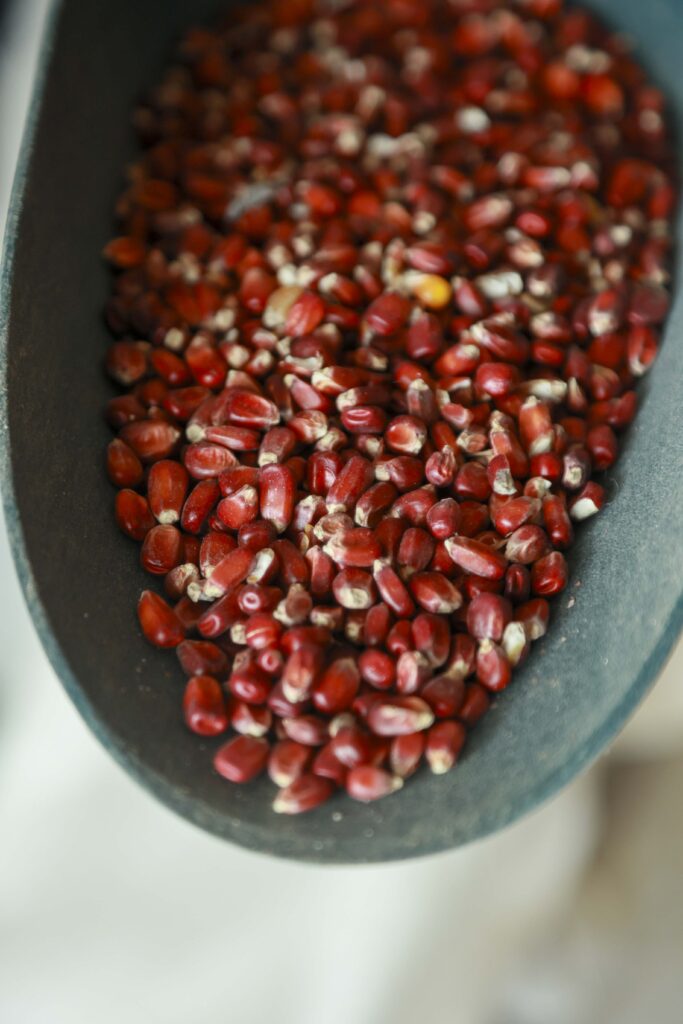 Φαρμα & Friends