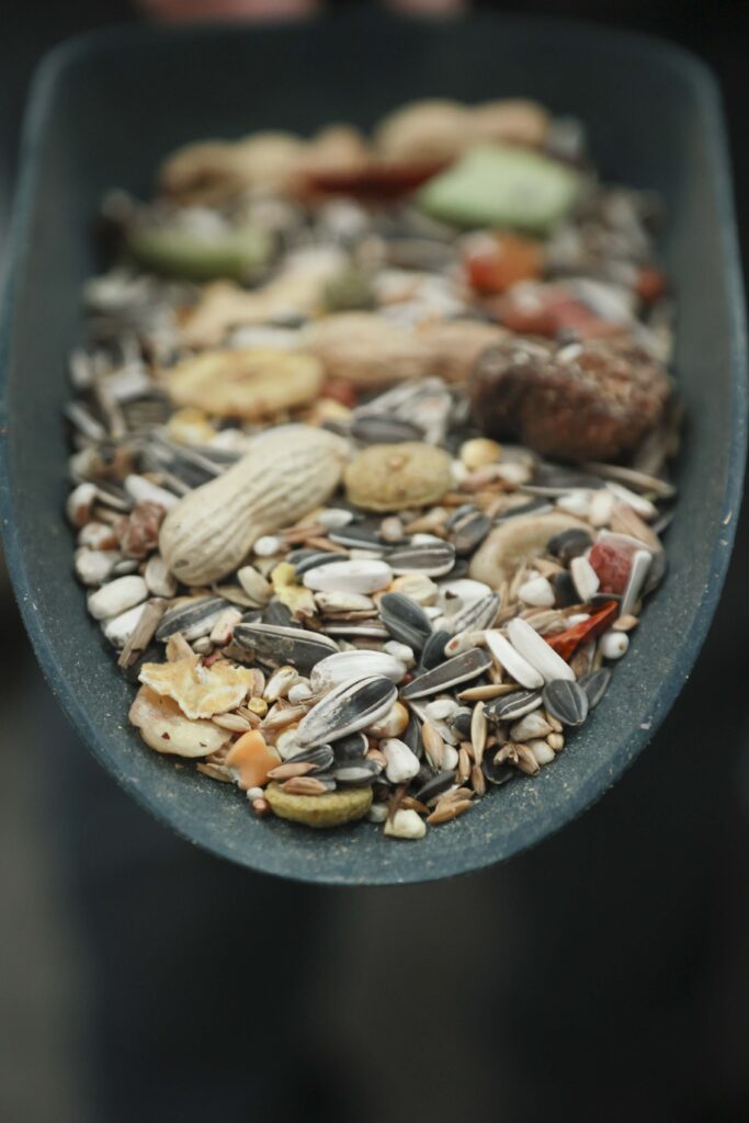 Φαρμα & Friends